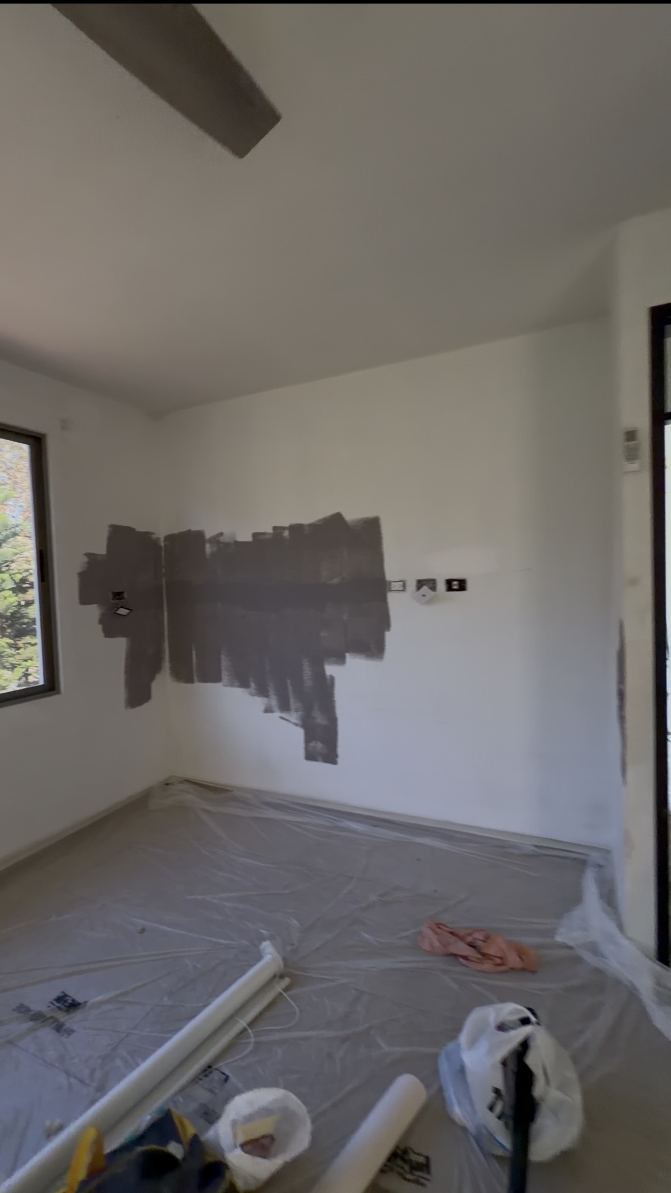 Muestras de color en pared